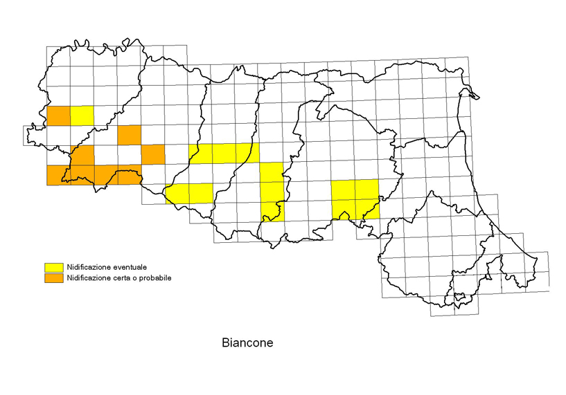Biancone
