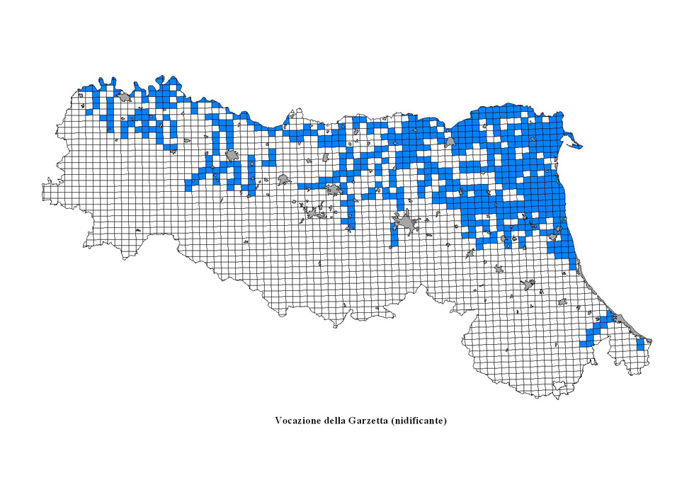 Garzetta nidificante